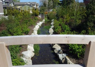 Restored stream channel below a footbridge