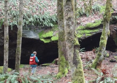 Biologist surveying a mossy rock overhang in a forest