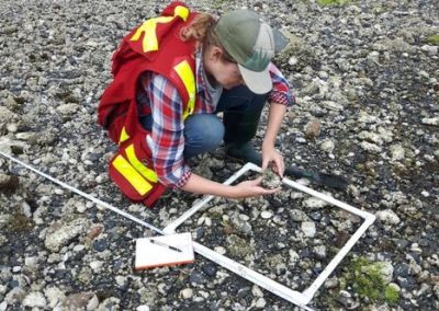 Biologist placing a survey quadrat on a cobble beach
