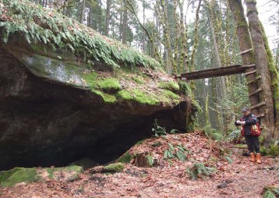 Biologist beside a mossy boulder in second-growth forest